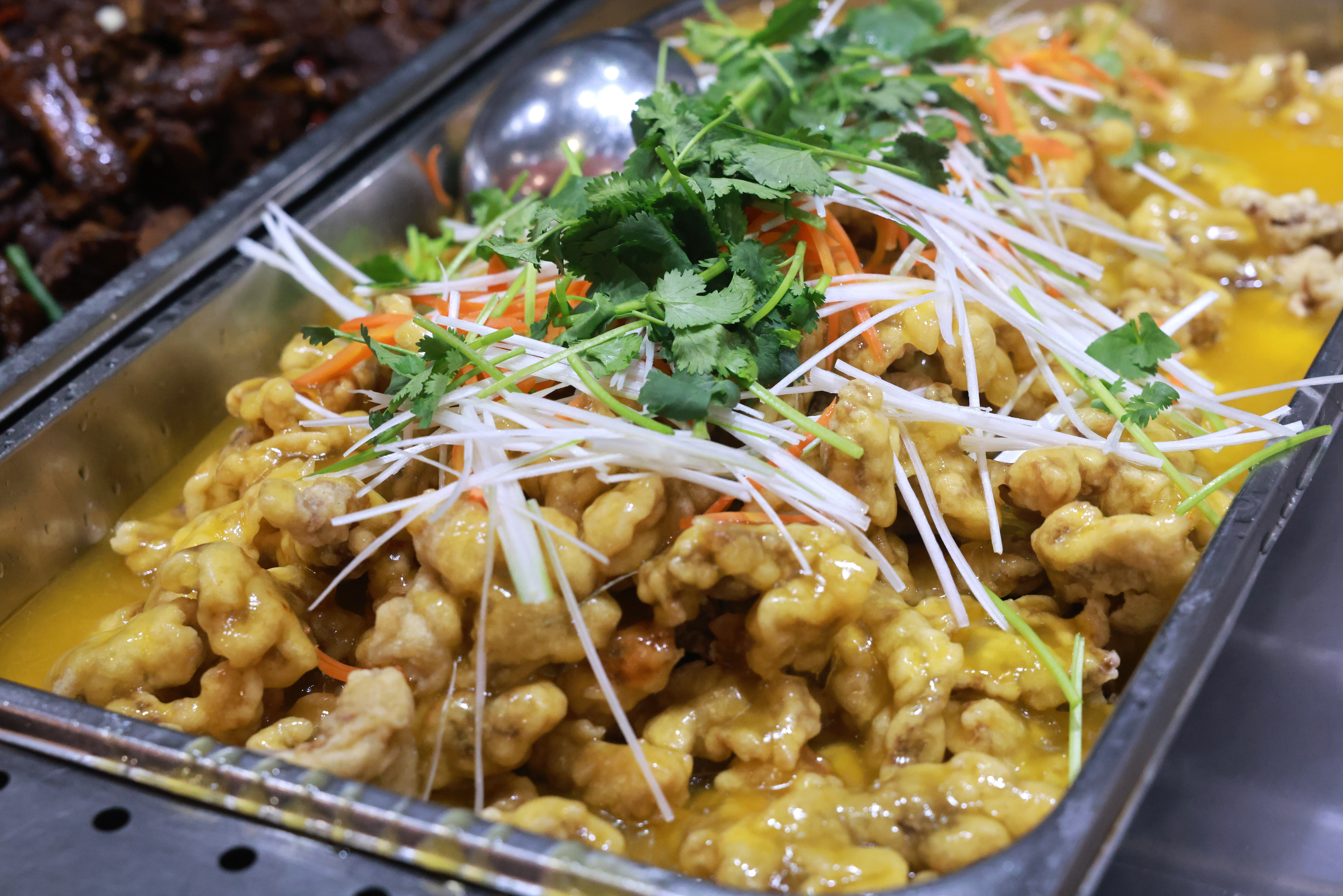 1770191764109774CE50.jpg 1770191764109774CE50.jpg