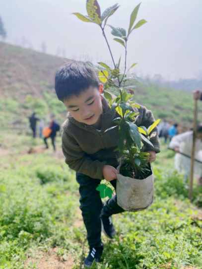 8cc2fc2af2185157604c01f9aba40b5b.png 8cc2fc2af2185157604c01f9aba40b5b.png